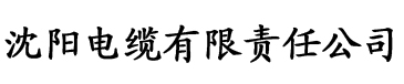 茄子性导航电缆厂logo